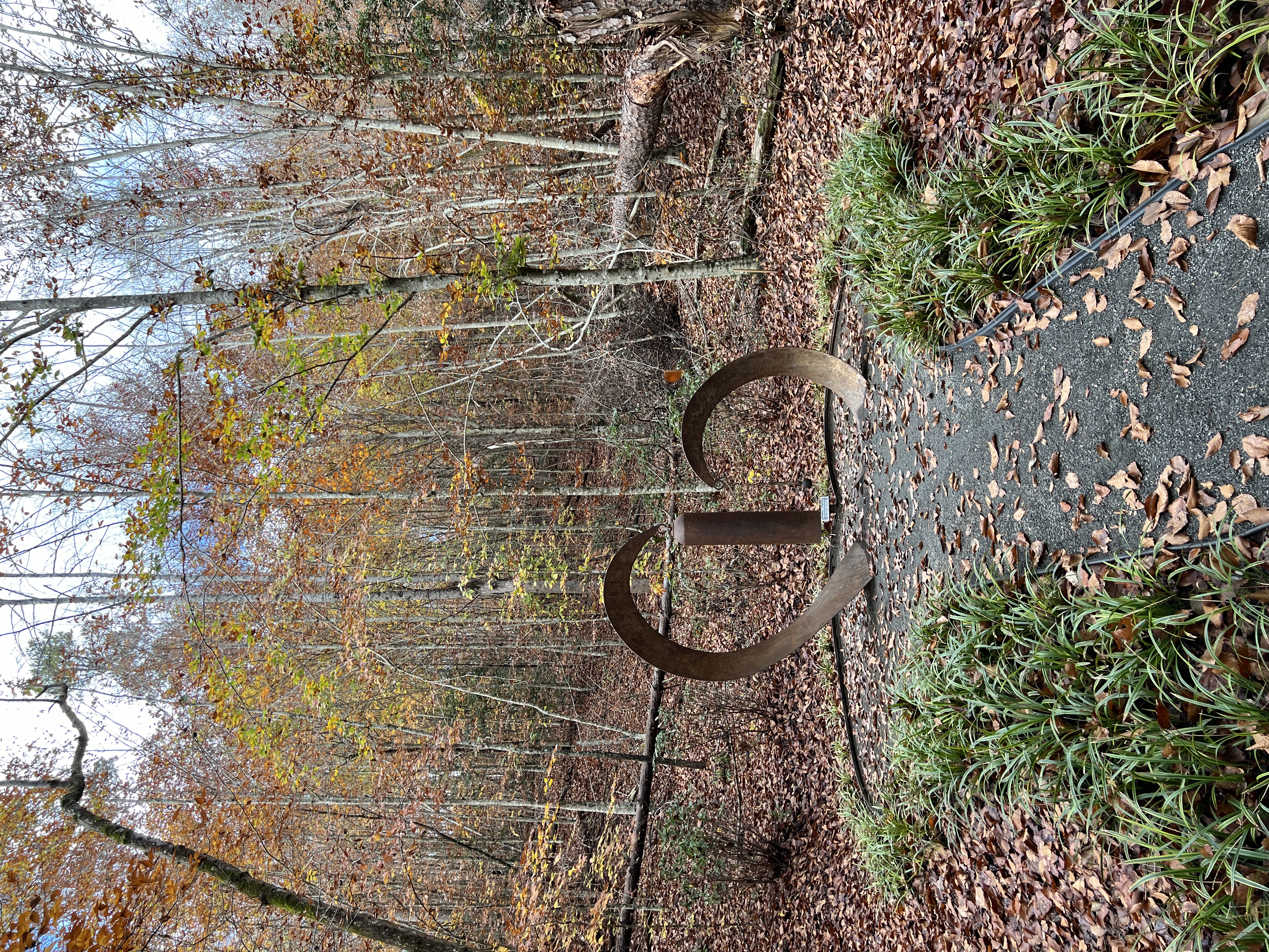 ./2024/11 - Byrd's Branch/IMG_3596.JPG